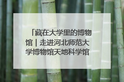 藏在大学里的博物馆｜走进河北师范大学博物馆天地科学馆：在校园里赴一场“宇宙之约”