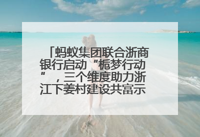蚂蚁集团联合浙商银行启动“栀梦行动”，三个维度助力浙江下姜村建设共富示范区示范点