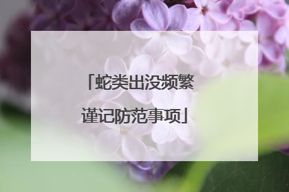 蛇类出没频繁 谨记防范事项