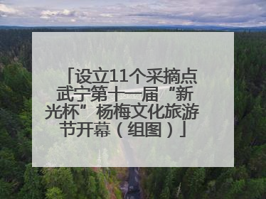 设立11个采摘点 武宁第十一届“新光杯”杨梅文化旅游节开幕（组图）