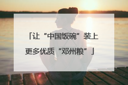 让“中国饭碗”装上更多优质“邓州粮”
