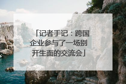 记者手记：跨国企业参与了一场别开生面的交流会