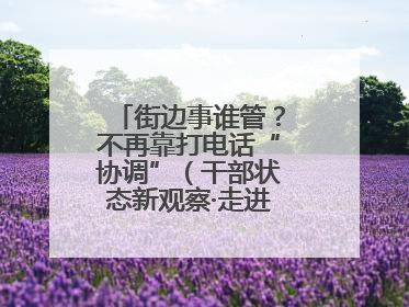 街边事谁管？不再靠打电话“协调”（干部状态新观察·走进一线探作风）