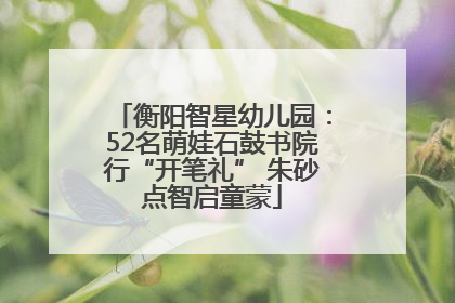 衡阳智星幼儿园：52名萌娃石鼓书院行“开笔礼” 朱砂点智启童蒙