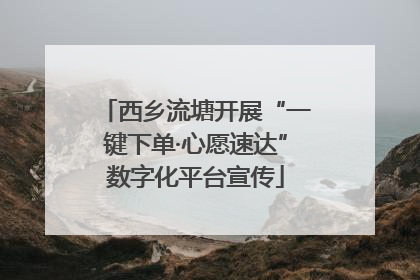 西乡流塘开展“一键下单·心愿速达”数字化平台宣传