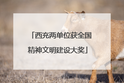 西充两单位获全国精神文明建设大奖