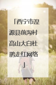 西宁市湟源县前沟村高山大白杜鹃走红网络