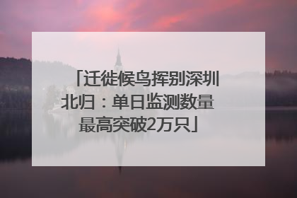 迁徙候鸟挥别深圳北归：单日监测数量最高突破2万只
