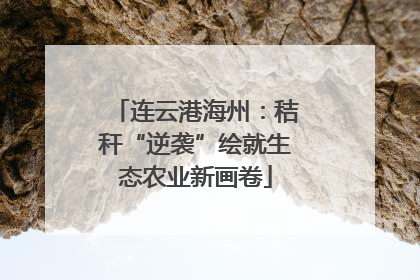 连云港海州：秸秆“逆袭”绘就生态农业新画卷