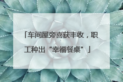 车间屋旁喜获丰收，职工种出“幸福餐桌”