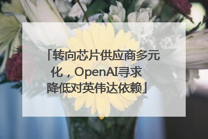 转向芯片供应商多元化，OpenAI寻求降低对英伟达依赖