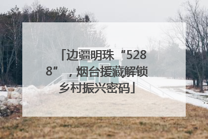 边疆明珠“5288”，烟台援藏解锁乡村振兴密码
