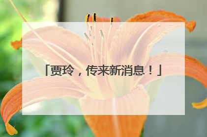 贾玲，传来新消息！