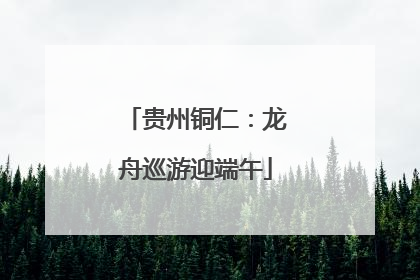 贵州铜仁：龙舟巡游迎端午