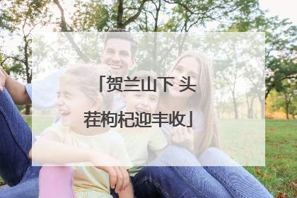 贺兰山下 头茬枸杞迎丰收