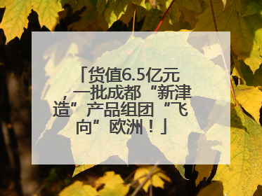 货值6.5亿元，一批成都“新津造”产品组团“飞向”欧洲！