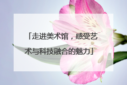 走进美术馆，感受艺术与科技融合的魅力