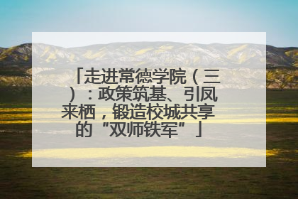 走进常德学院（三）：政策筑基、引凤来栖，锻造校城共享的“双师铁军”