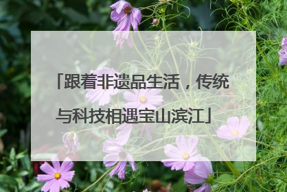 跟着非遗品生活，传统与科技相遇宝山滨江