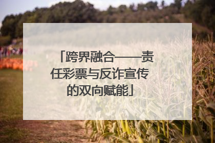 跨界融合——责任彩票与反诈宣传的双向赋能