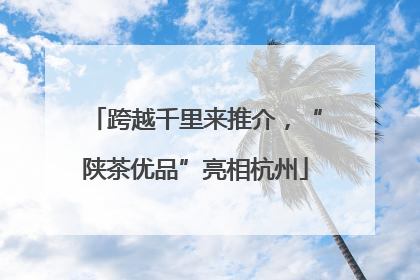 跨越千里来推介，“陕茶优品”亮相杭州