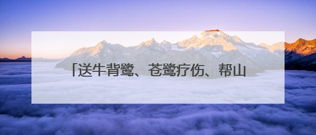 送牛背鹭、苍鹭疗伤、帮山麻雀幼鸟搬家，崇明警民救助多只受困野生保护鸟类
