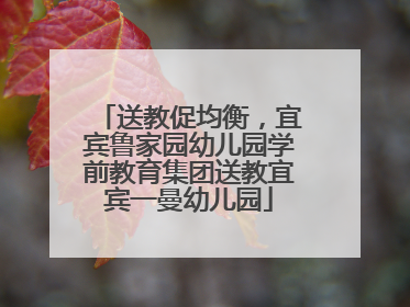 送教促均衡，宜宾鲁家园幼儿园学前教育集团送教宜宾一曼幼儿园