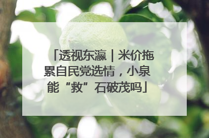 透视东瀛｜米价拖累自民党选情，小泉能“救”石破茂吗