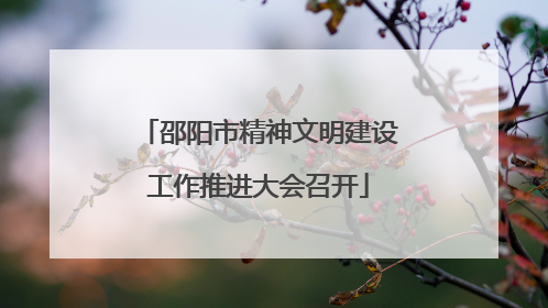 邵阳市精神文明建设工作推进大会召开