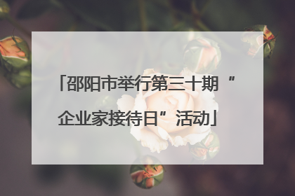 邵阳市举行第三十期“企业家接待日”活动