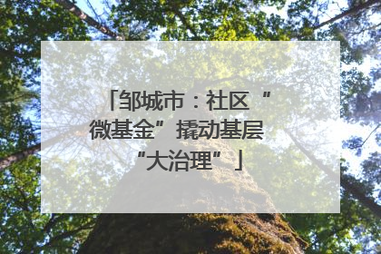 邹城市：社区“微基金”撬动基层“大治理”