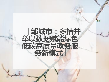 邹城市：多措并举以数据赋能绿色低碳高质量政务服务新模式