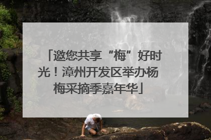 邀您共享“梅”好时光！漳州开发区举办杨梅采摘季嘉年华