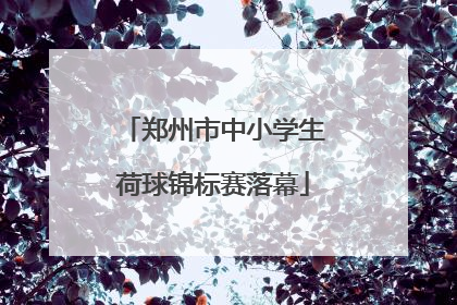 郑州市中小学生荷球锦标赛落幕
