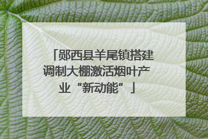 郧西县羊尾镇搭建调制大棚激活烟叶产业“新动能”