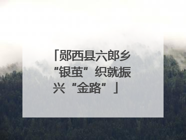 郧西县六郎乡“银茧”织就振兴“金路”