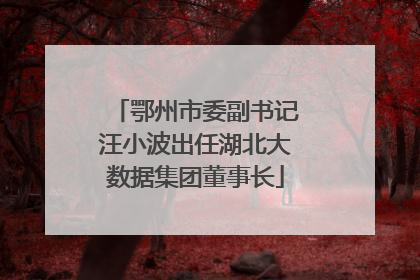 鄂州市委副书记汪小波出任湖北大数据集团董事长