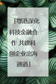 鄂港深化科技金融合作 共建科创企业出海通道