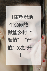 重塑湿地生命网络 赋能乡村“颜值”“产值”双提升