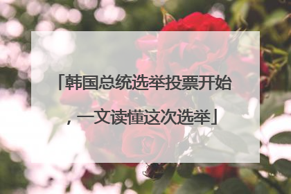 韩国总统选举投票开始，一文读懂这次选举
