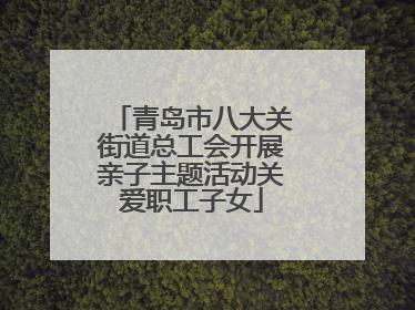 青岛市八大关街道总工会开展亲子主题活动关爱职工子女