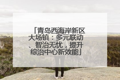 青岛西海岸新区大场镇：多元联动、智治无忧，提升综治中心新效能