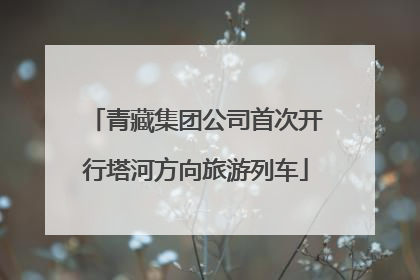 青藏集团公司首次开行塔河方向旅游列车