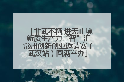非武不栖 进无止境 新质生产力“智”汇常州创新创业邀请赛（武汉站）圆满举办