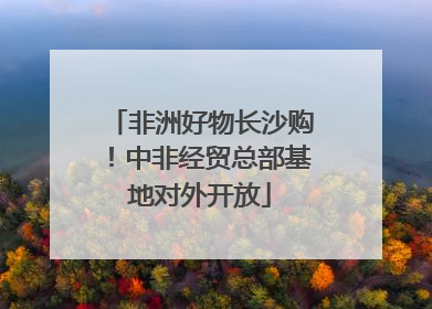 非洲好物长沙购！中非经贸总部基地对外开放