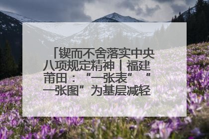 锲而不舍落实中央八项规定精神丨福建莆田：“一张表”“一张图”为基层减轻“数字负担”