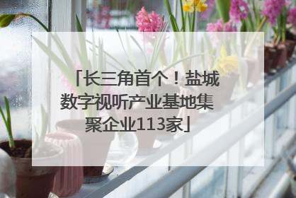 长三角首个！盐城数字视听产业基地集聚企业113家