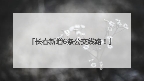 长春新增6条公交线路！