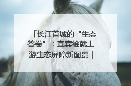 长江首城的“生态答卷”：宜宾绘就上游生态屏障新图景｜中华环保世纪行