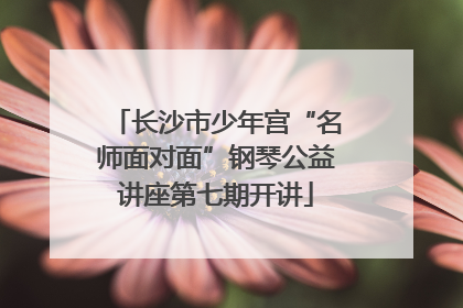 长沙市少年宫“名师面对面”钢琴公益讲座第七期开讲